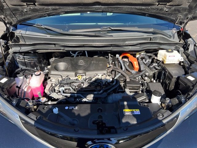 2024 Toyota Sienna Limited 7 Passenger