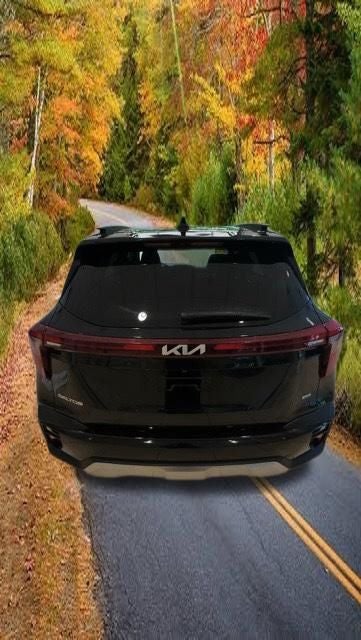 2024 Kia Seltos EX