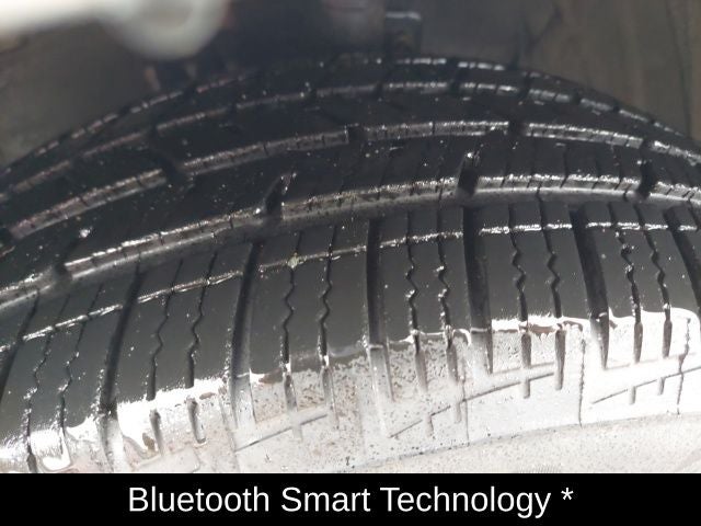 2020 Toyota Sienna XLE 7 Passenger