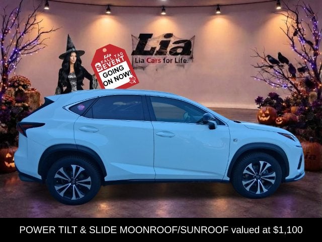 2021 Lexus NX 300 F Sport
