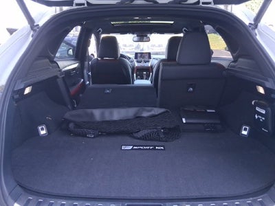 2021 Lexus NX 300 F Sport
