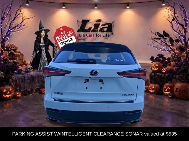 2021 Lexus NX 300 F Sport