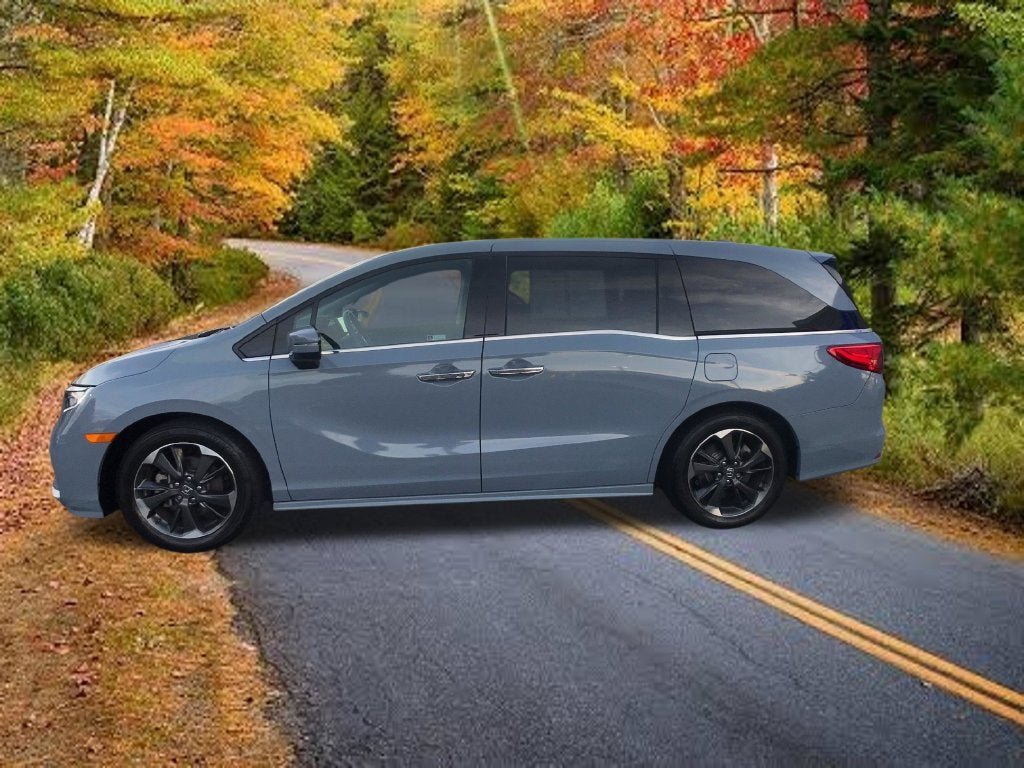 2024 Honda Odyssey Elite