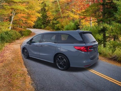 2024 Honda Odyssey Elite