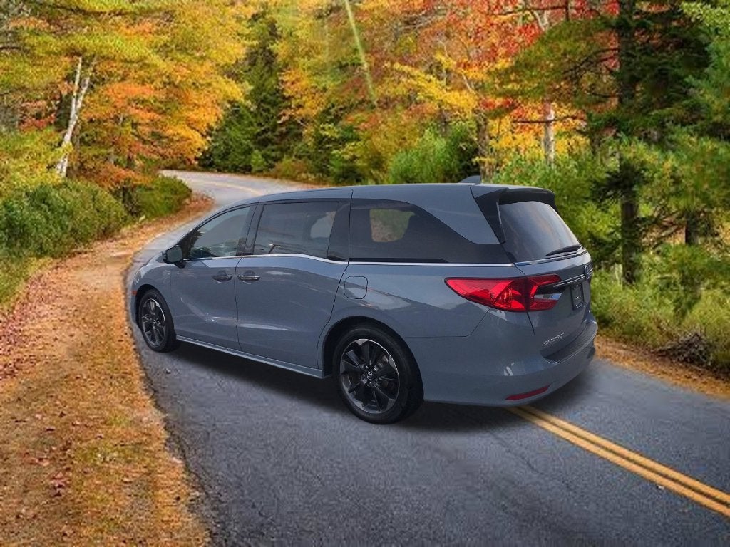 2024 Honda Odyssey Elite