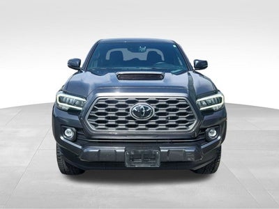 2023 Toyota Tacoma 4WD TRD Sport