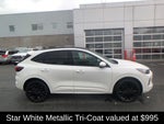 2024 Ford Escape ST-Line Elite