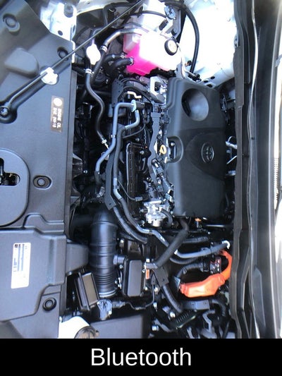 2024 Toyota Sienna Platinum 7 Passenger