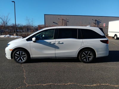 2025 Honda Odyssey EX-L