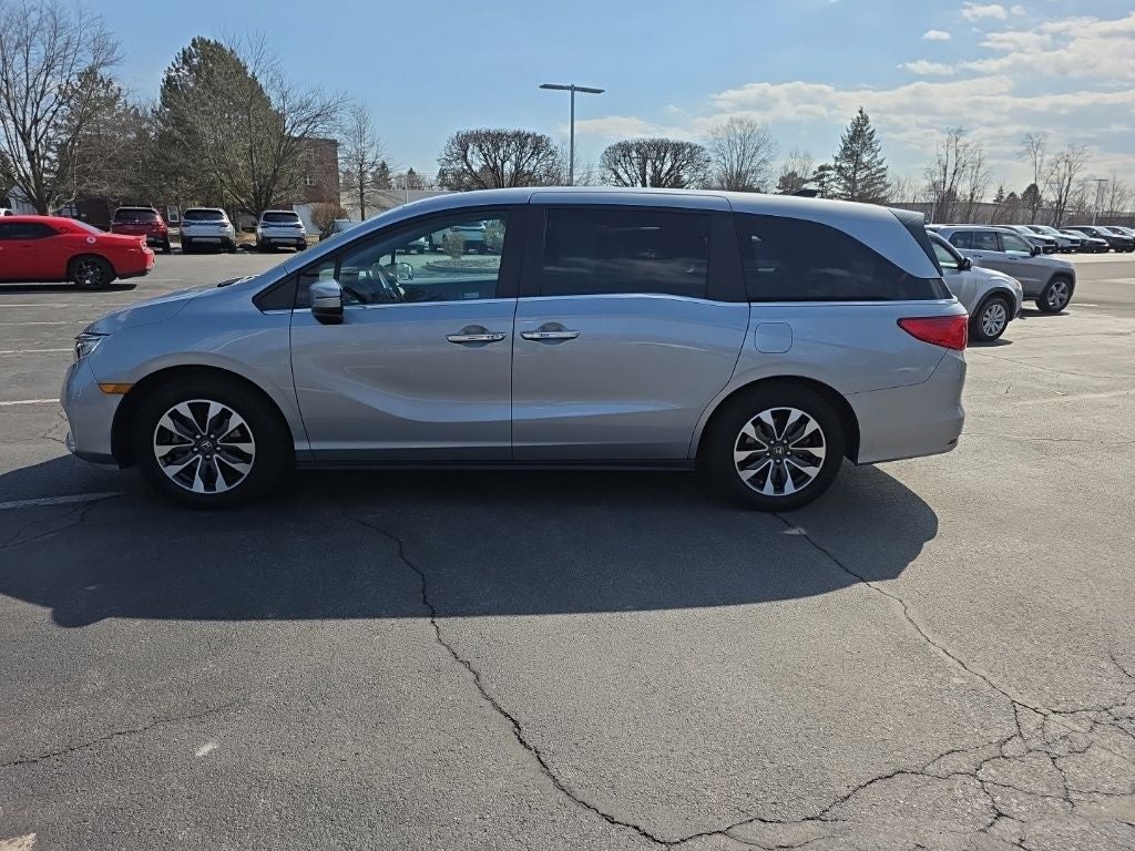 2024 Honda Odyssey EX-L