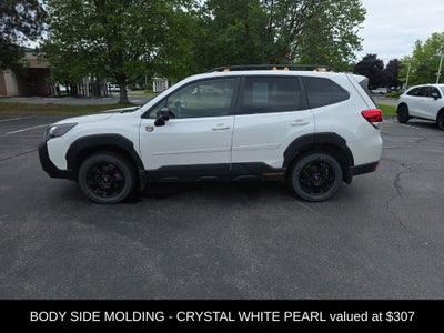 2023 Subaru Forester Wilderness