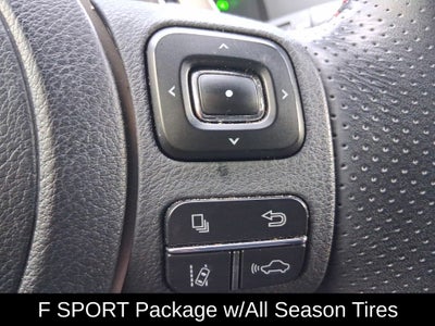 2021 Lexus NX 300 F Sport