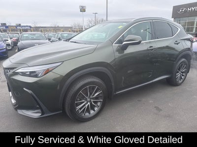 2024 Lexus NX 350 Base