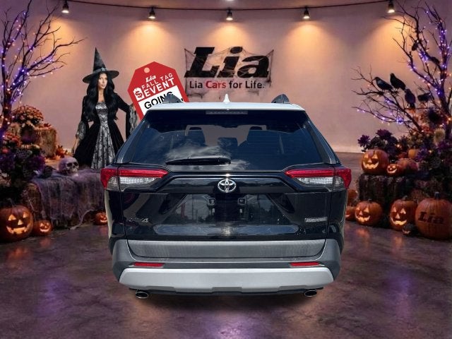 2019 Toyota RAV4 Adventure