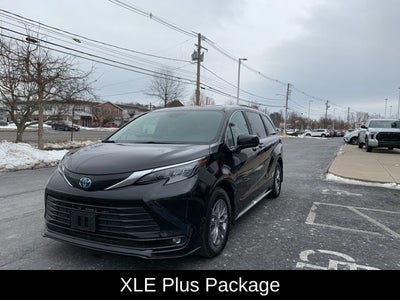 2025 Toyota Sienna XLE 7 Passenger