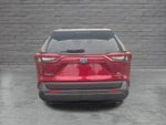 2019 Toyota RAV4 Hybrid LE