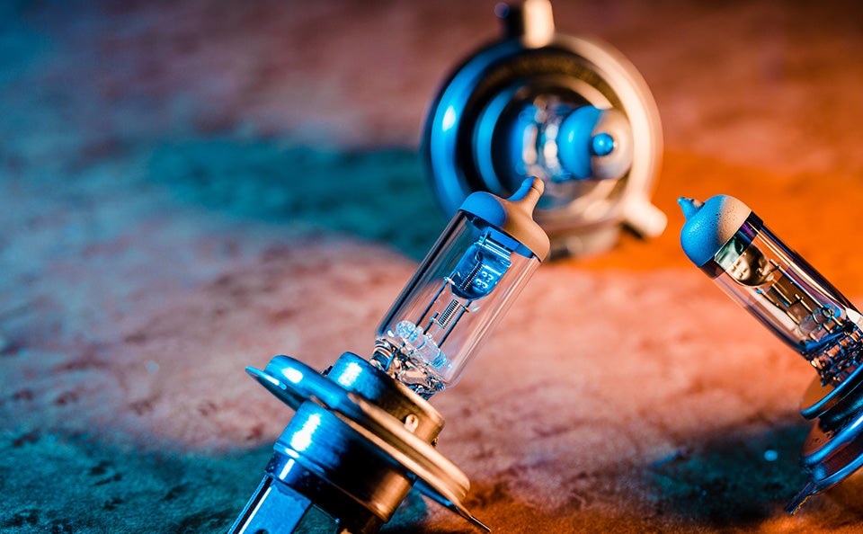 Accessories Wildcard